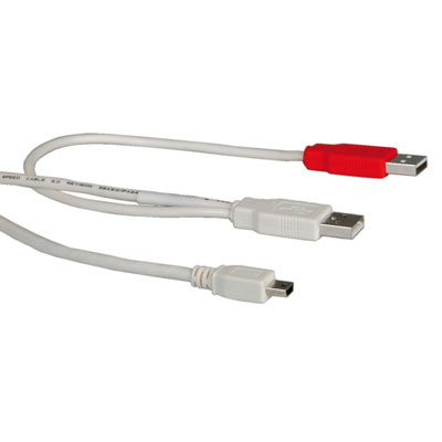 ROLINE USB 2.0 Y-кабел, 2x USB A M - 5-pin Mini M, 1.0 м